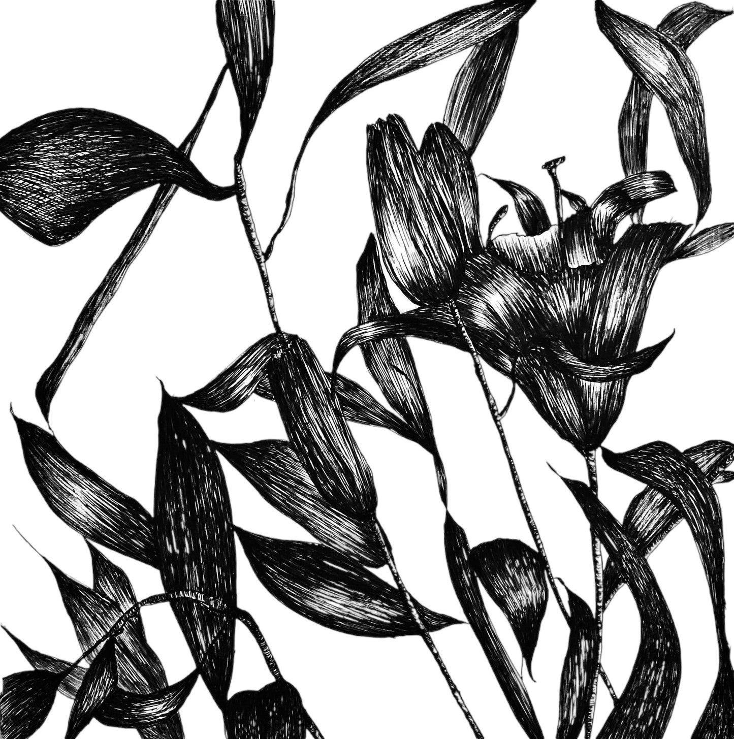 Sip & Paint- Event Art Sessions