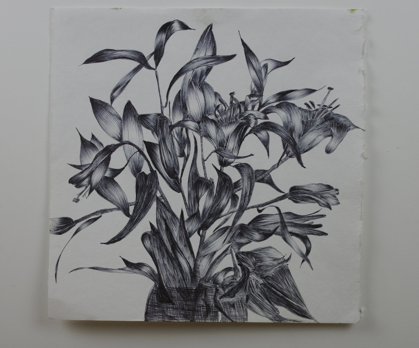 Consider the Lilies: Summer Garden sketchbook