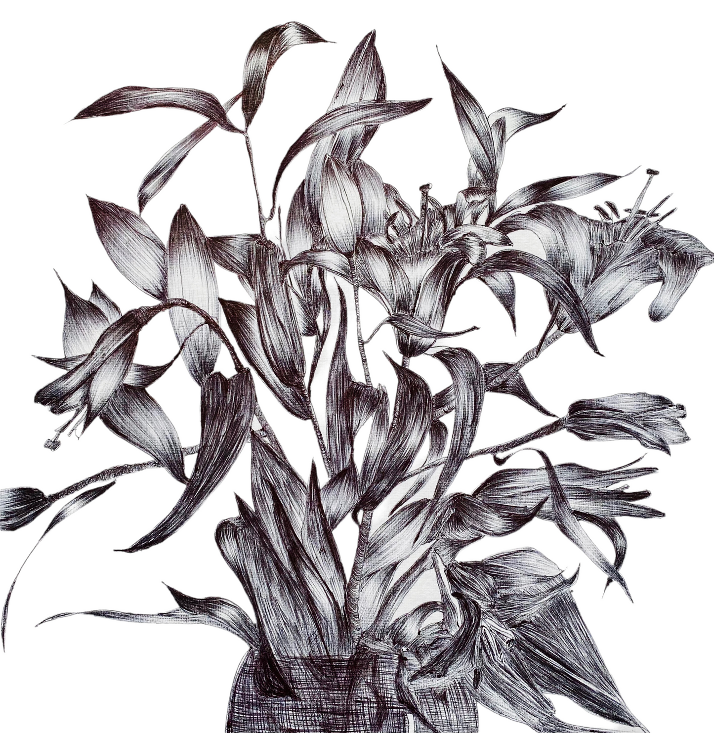 Framed A4 "Lilies" limited edition print