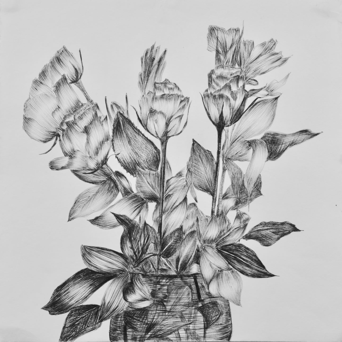 Consider the Lilies: Summer Garden sketchbook