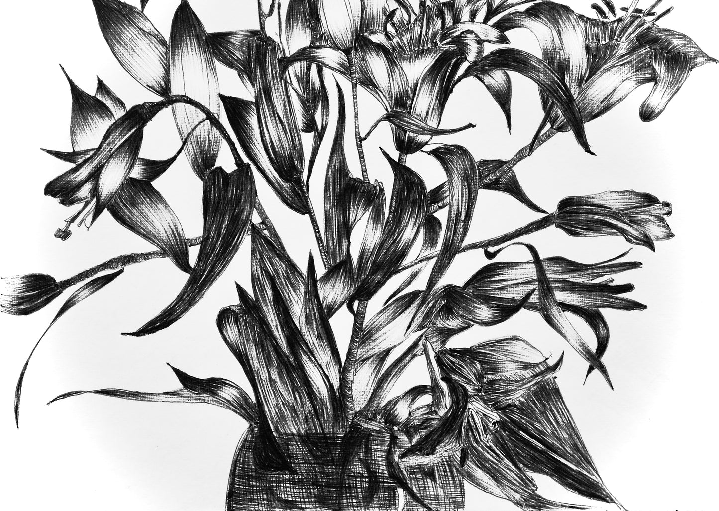 Consider the Lilies: Summer Garden sketchbook